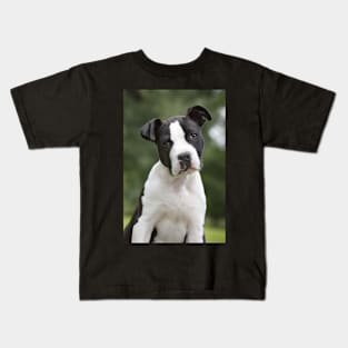 American Staffordshire Terrier Puppy Dog Kids T-Shirt